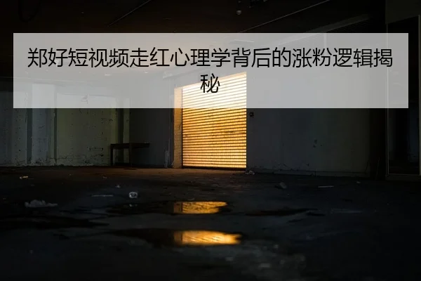 郑好短视频走红心理学背后的涨粉逻辑揭秘